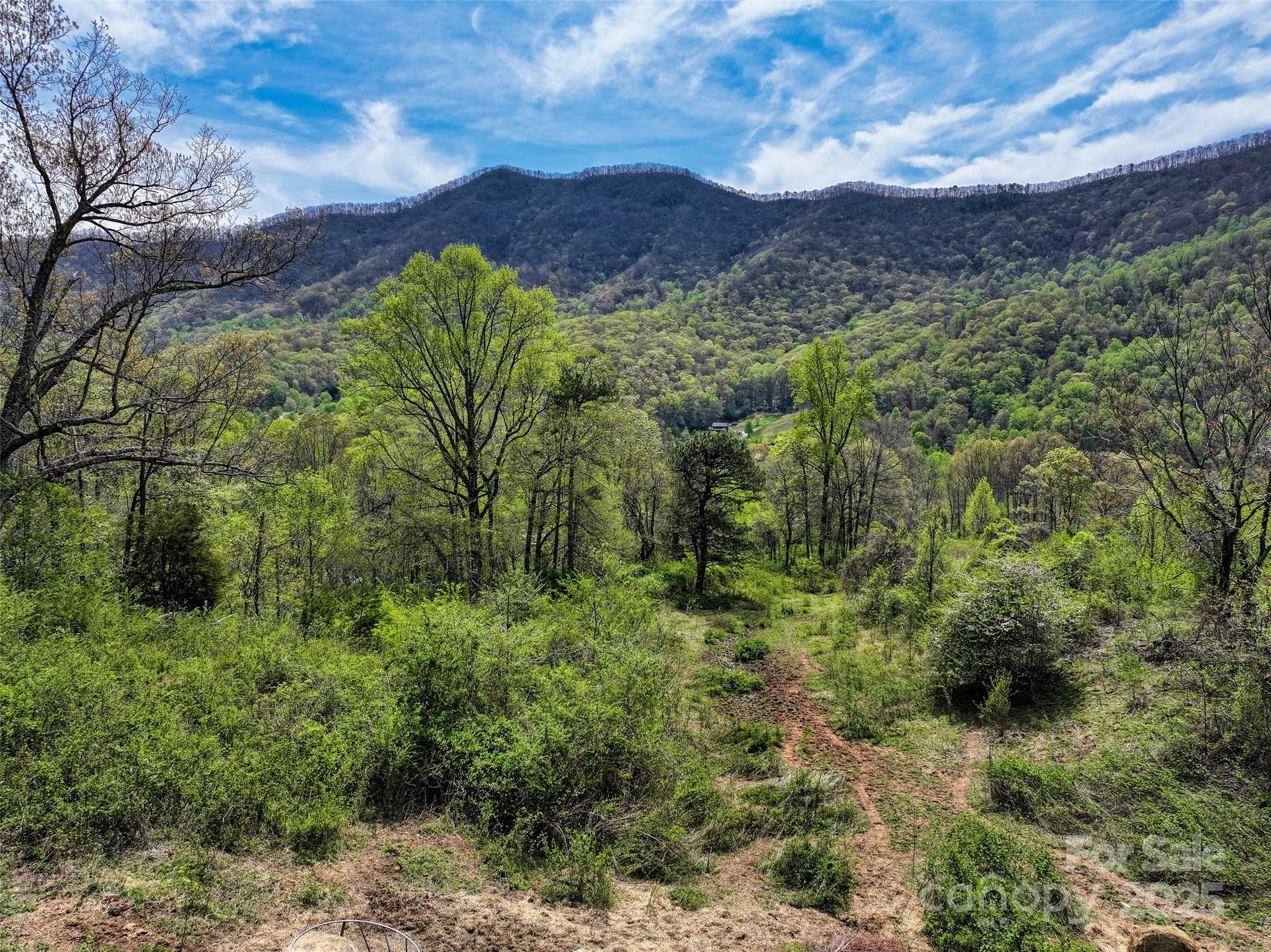 1567 Newfound Road Leicester NC 28748