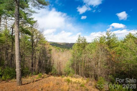128 Deer Antler Drive Purlear NC 28665