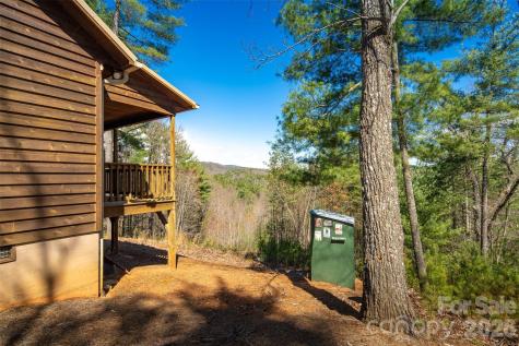 128 Deer Antler Drive Purlear NC 28665