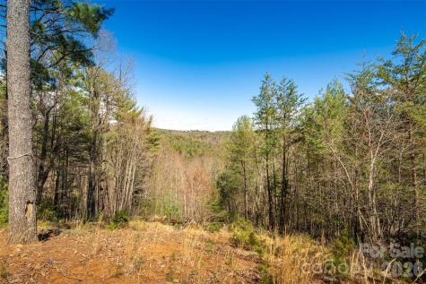 128 Deer Antler Drive Purlear NC 28665