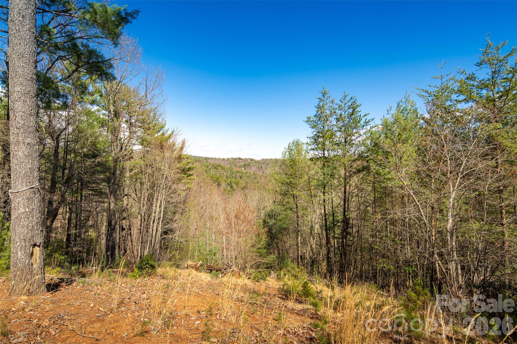 128 Deer Antler Drive Purlear NC 28665