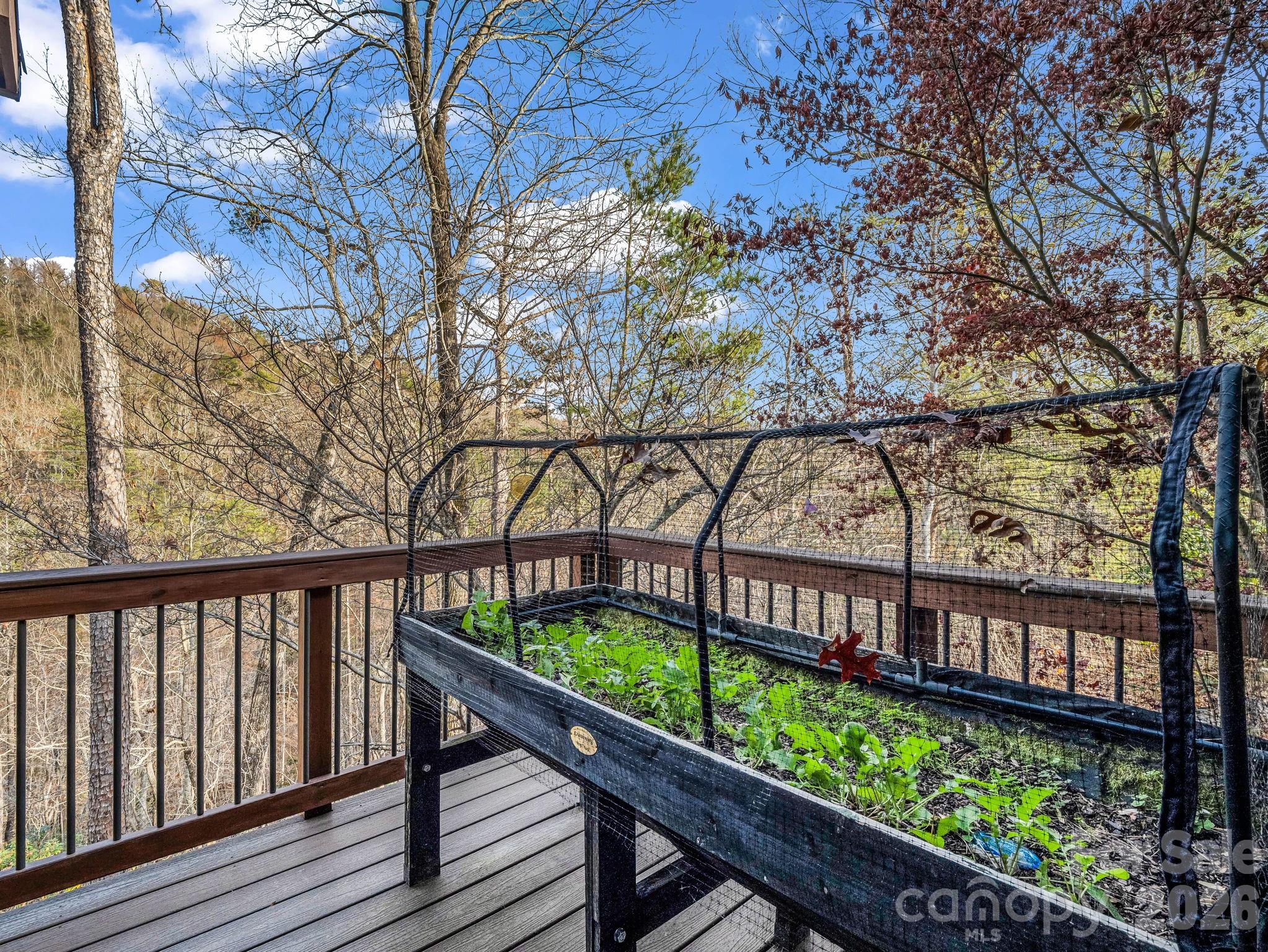 301 Peaks Drive Lake Lure NC 28746