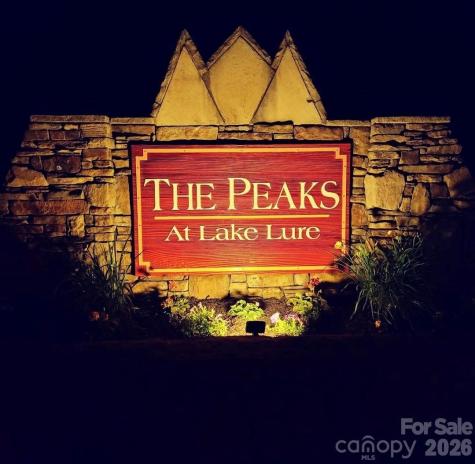 301 Peaks Drive Lake Lure NC 28746