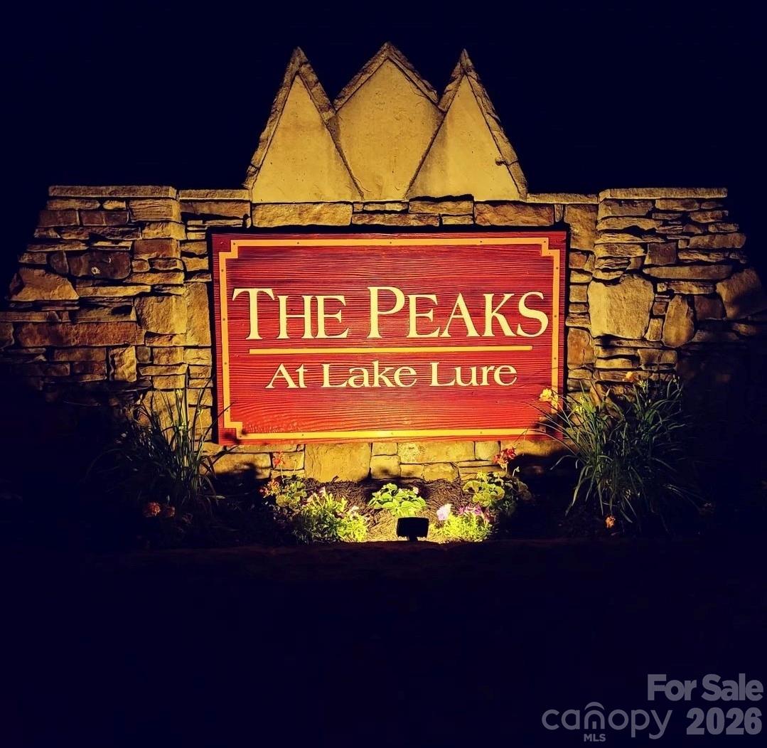 301 Peaks Drive Lake Lure NC 28746
