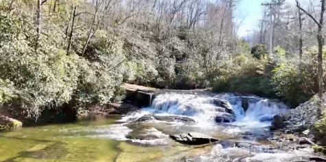 262 Rooster Cove Brevard NC 28712