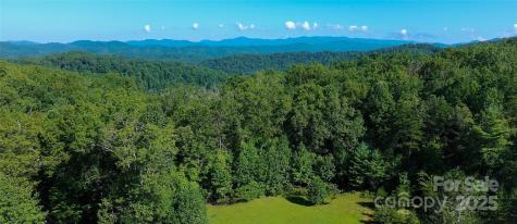 262 Rooster Cove Brevard NC 28712