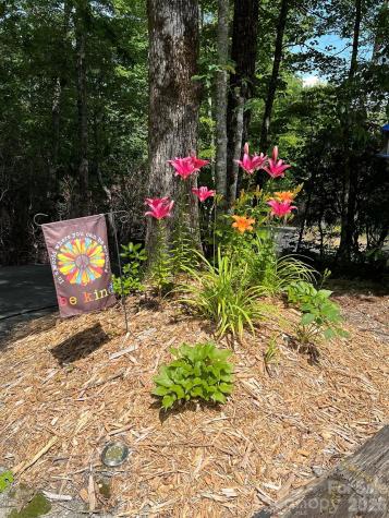 410 Forest Lake Road Brevard NC 28712