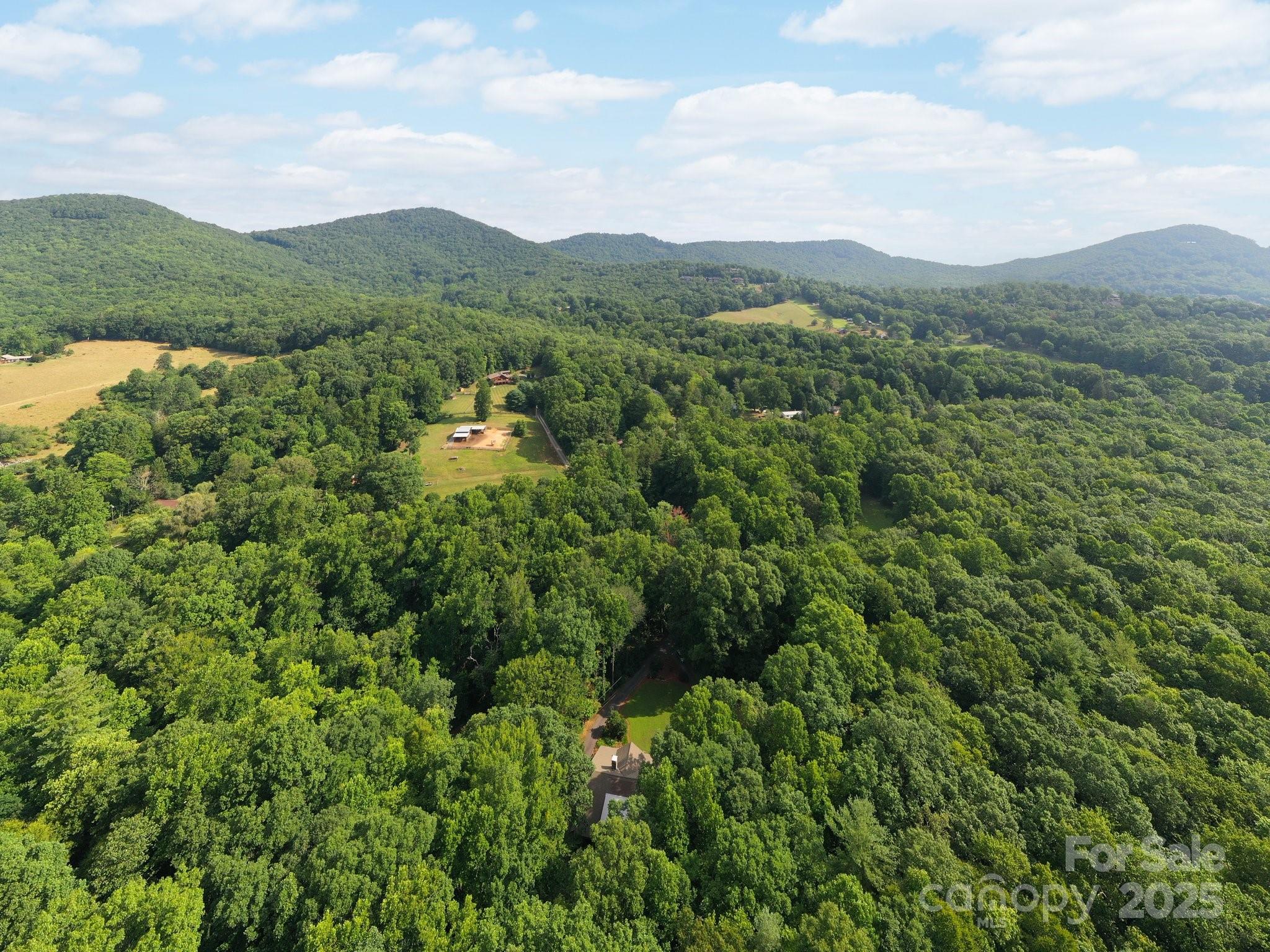 552 Avery Creek Arden NC 28704