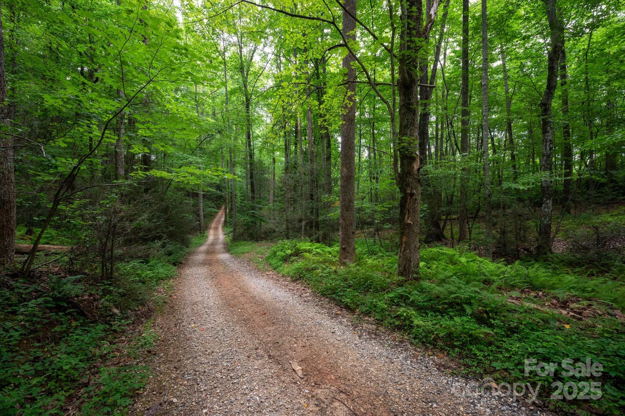 552 Avery Creek Arden NC 28704