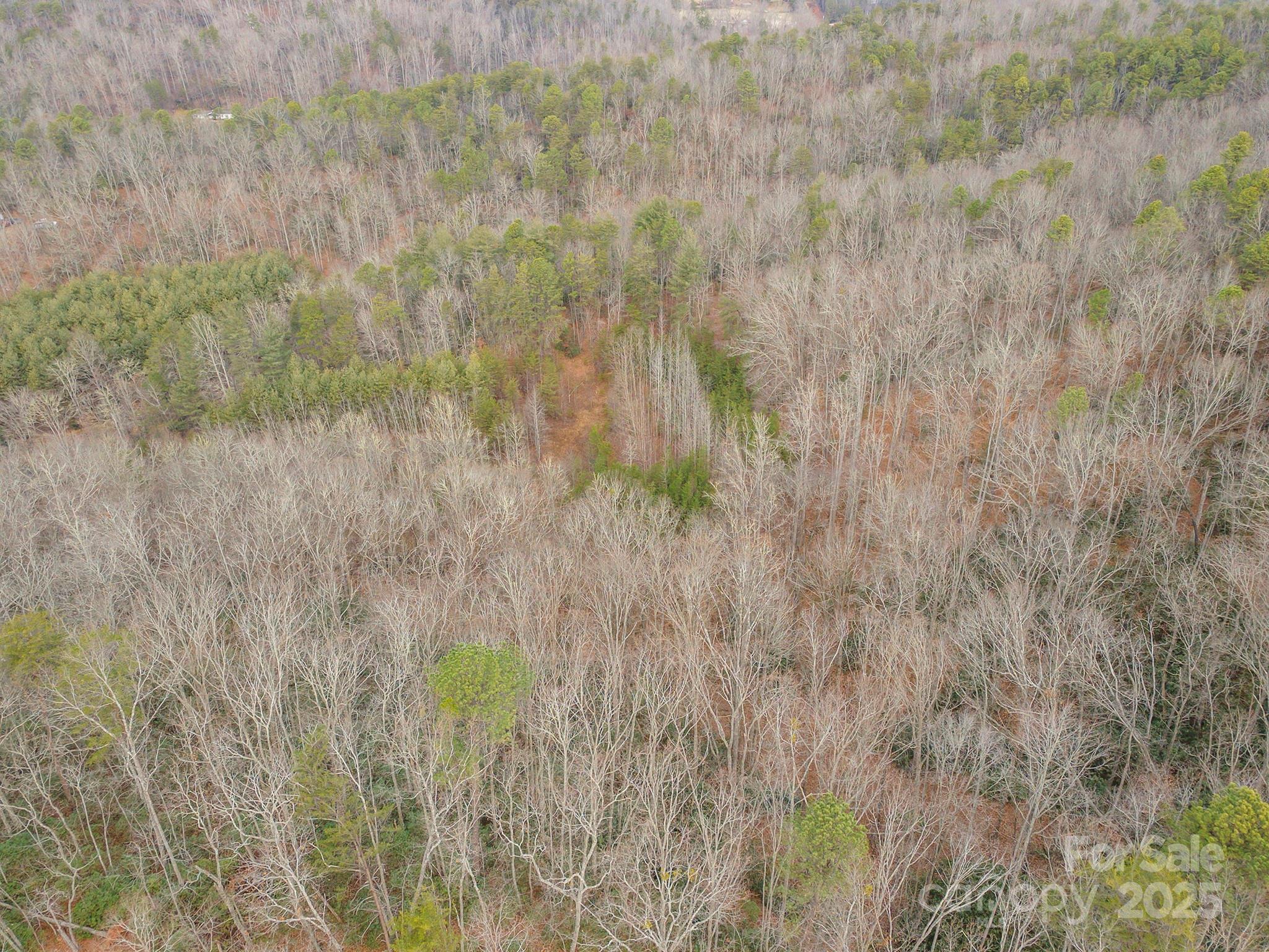 380 Buttercup Lane Marion NC 28752