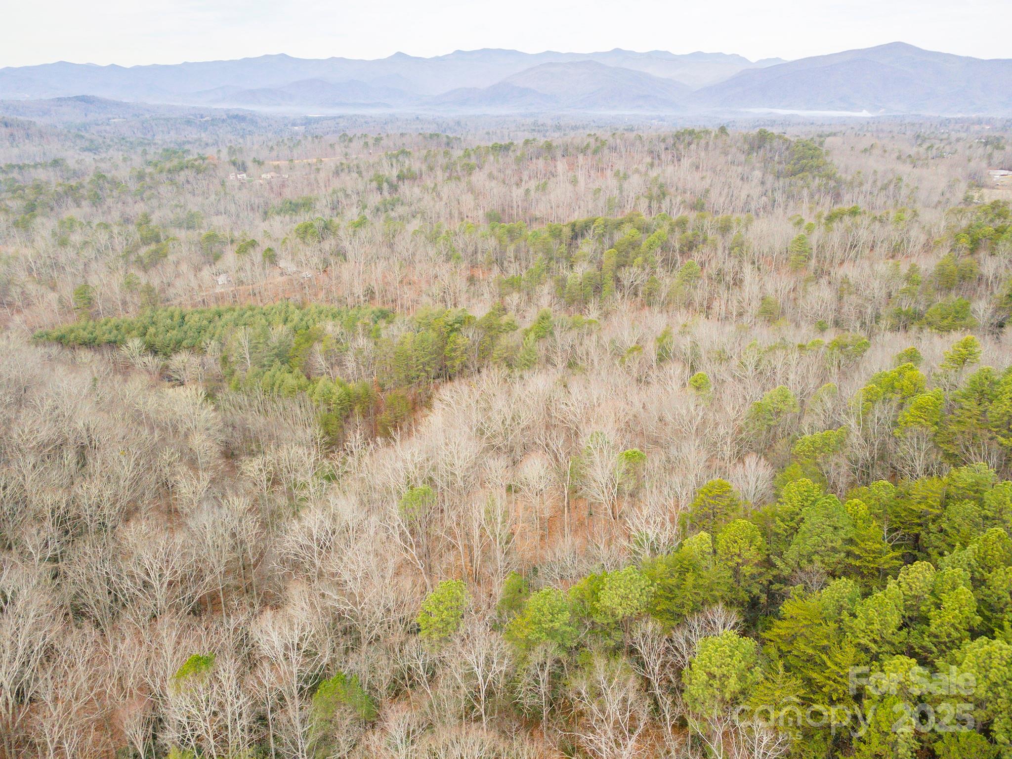 380 Buttercup Lane Marion NC 28752