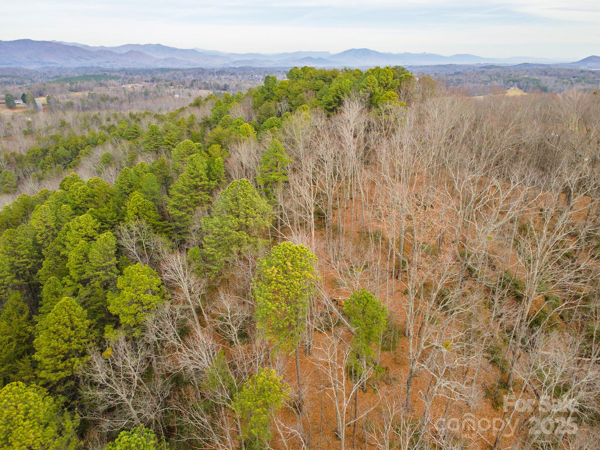380 Buttercup Lane Marion NC 28752