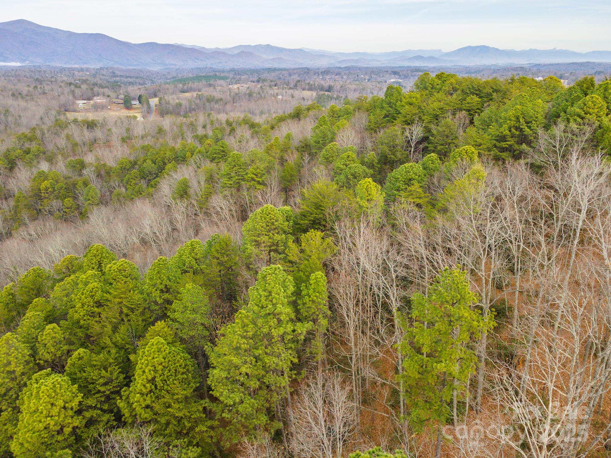 380 Buttercup Lane Marion NC 28752