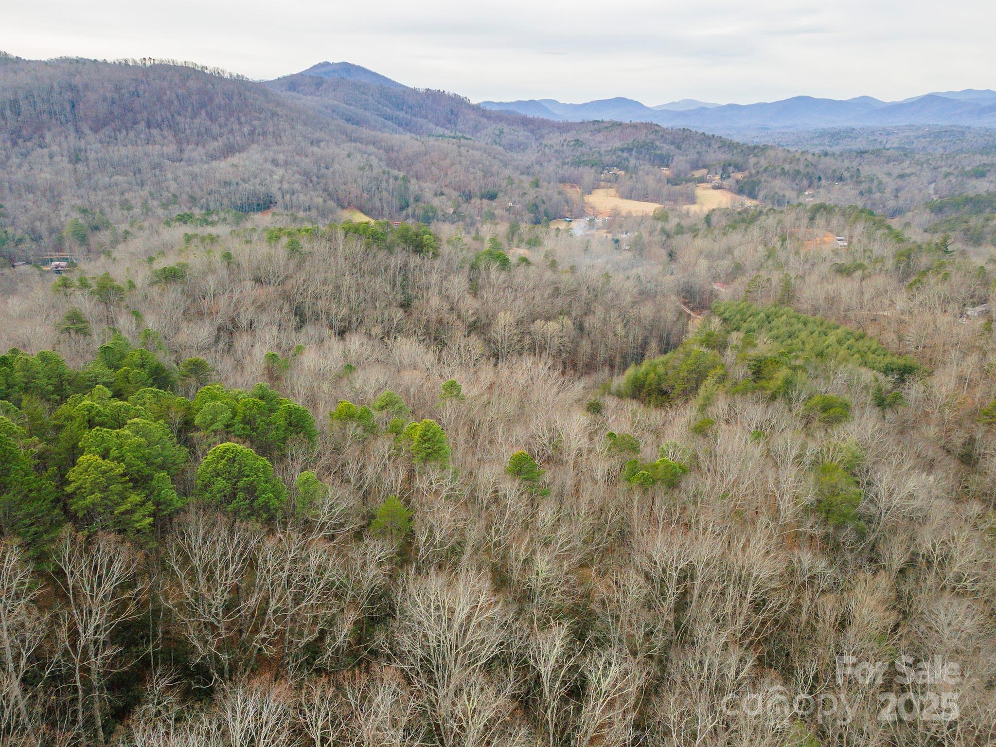 380 Buttercup Lane Marion NC 28752