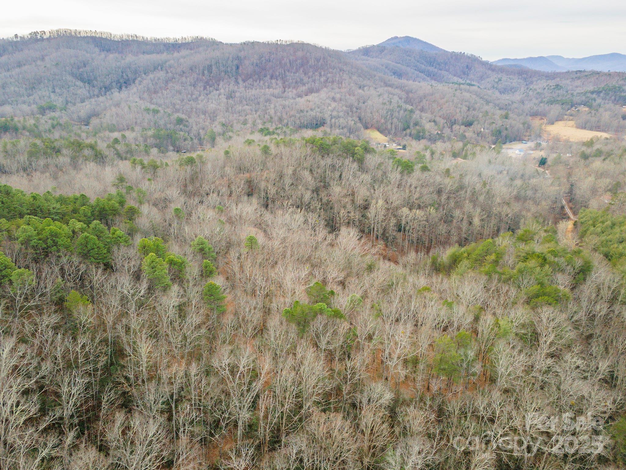 380 Buttercup Lane Marion NC 28752
