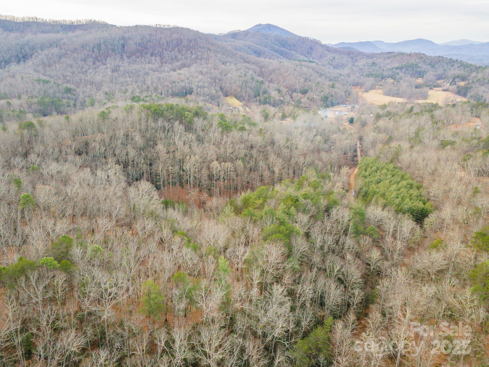 380 Buttercup Lane Marion NC 28752