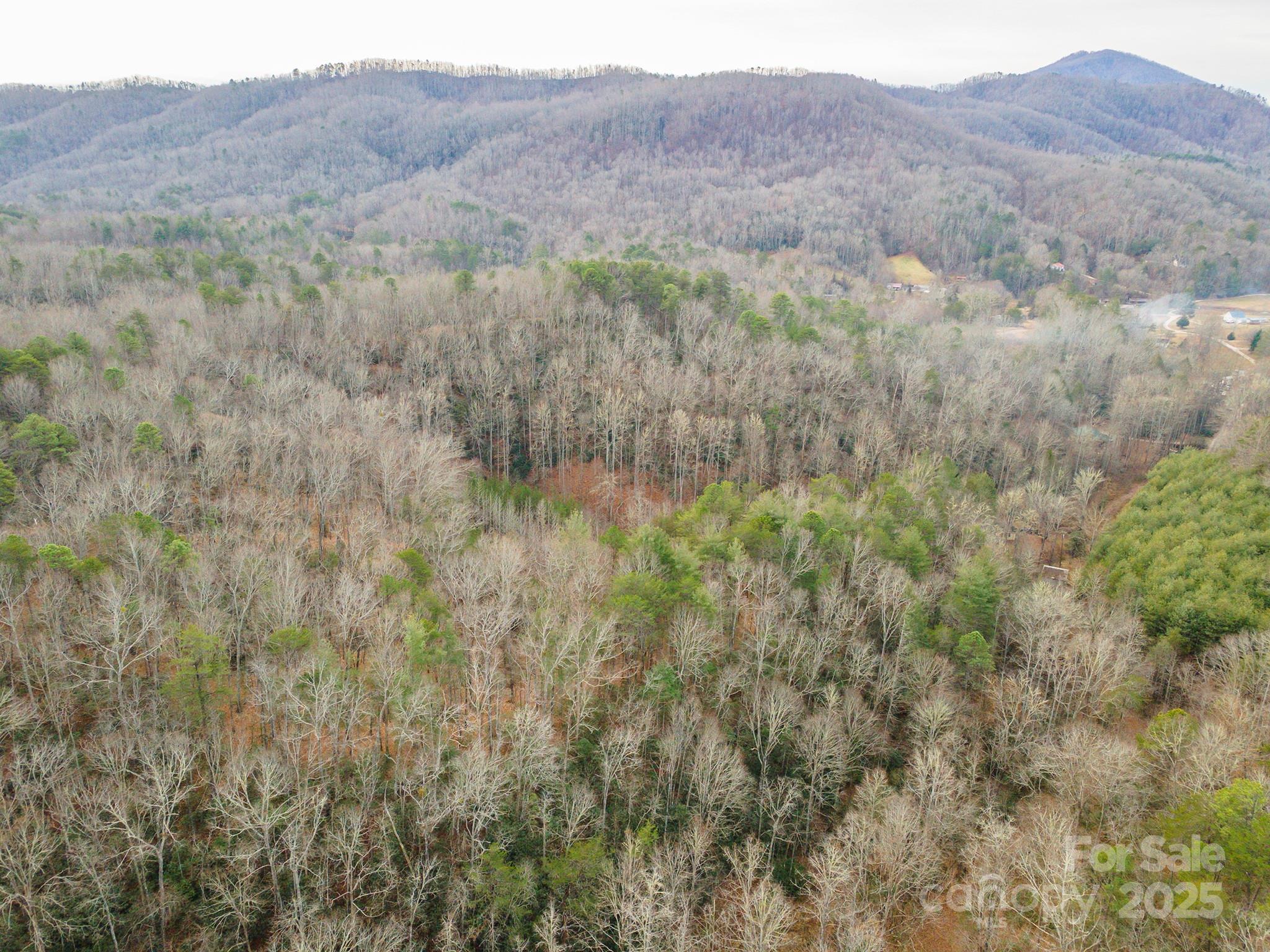 380 Buttercup Lane Marion NC 28752