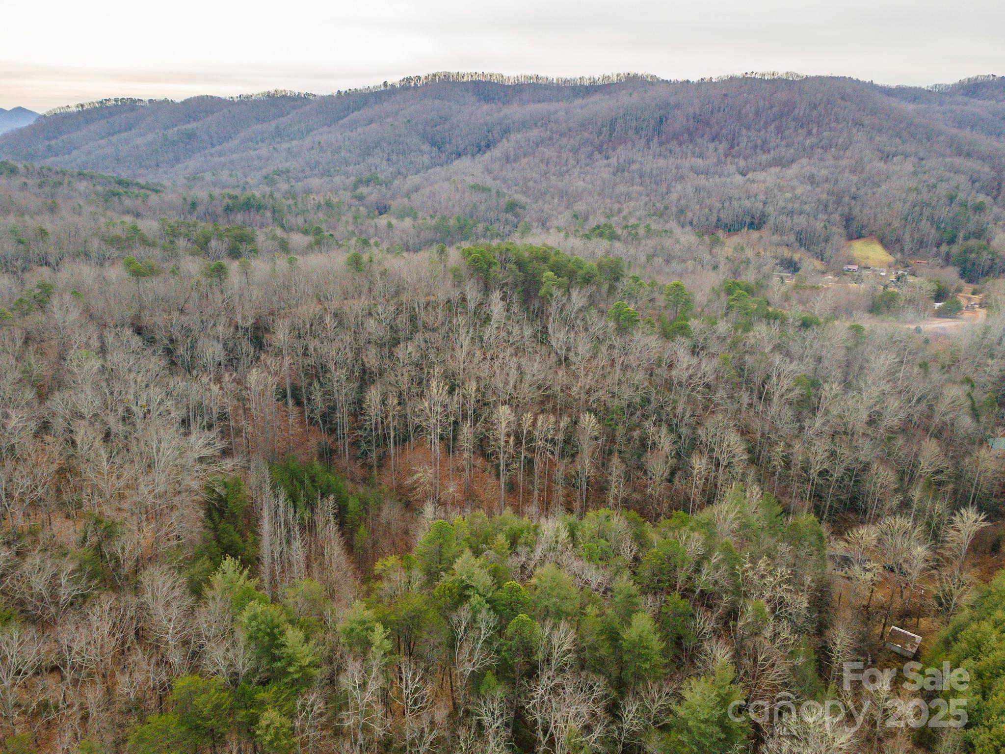 380 Buttercup Lane Marion NC 28752