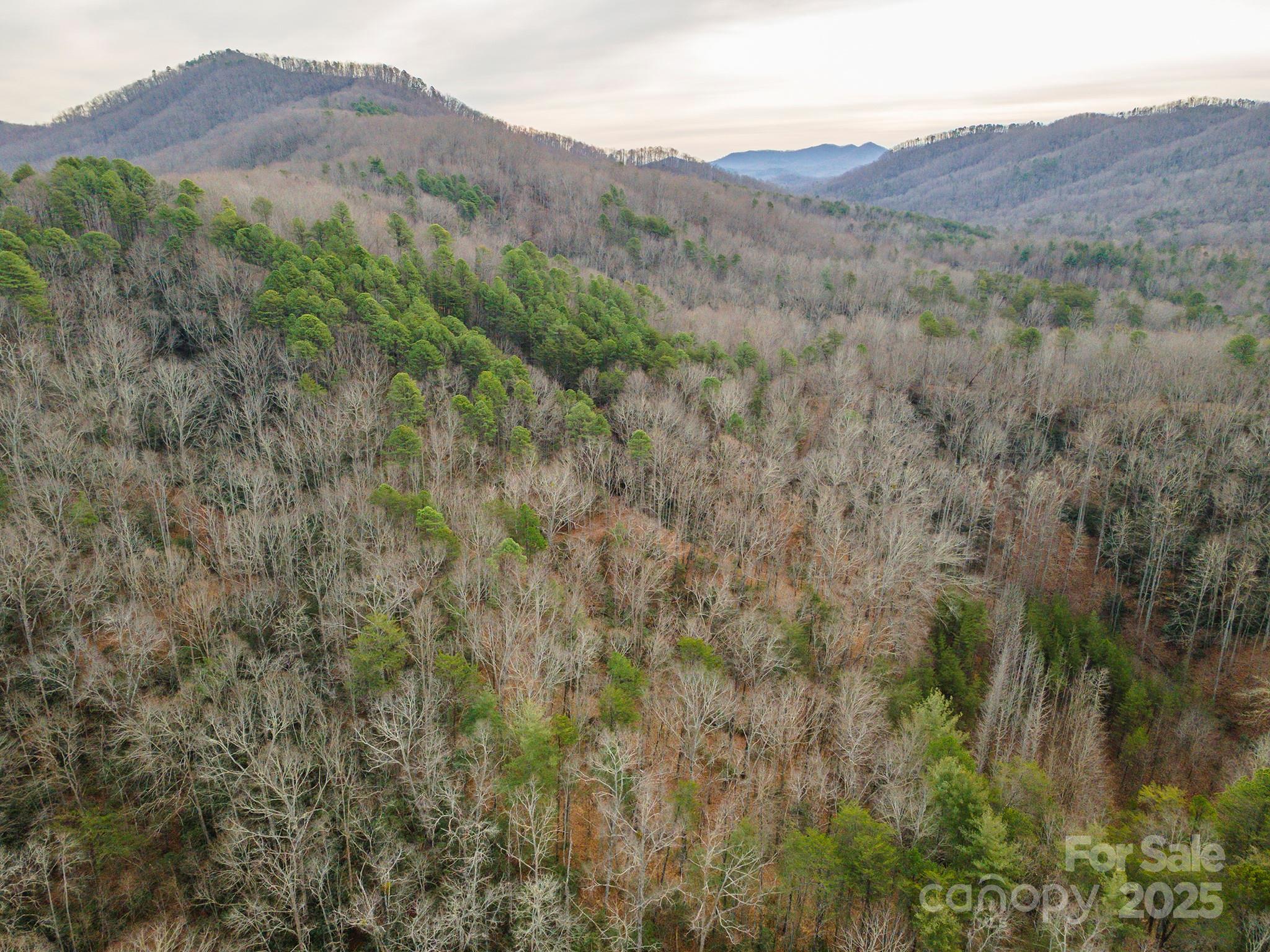 380 Buttercup Lane Marion NC 28752