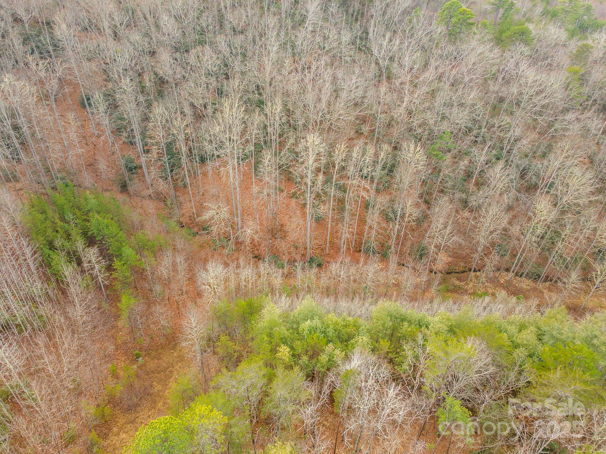 380 Buttercup Lane Marion NC 28752