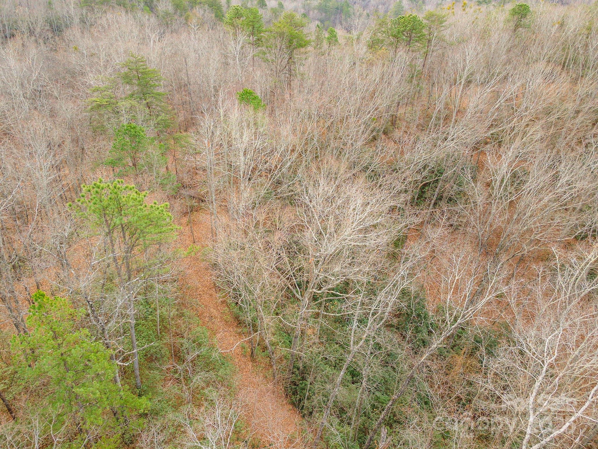 380 Buttercup Lane Marion NC 28752