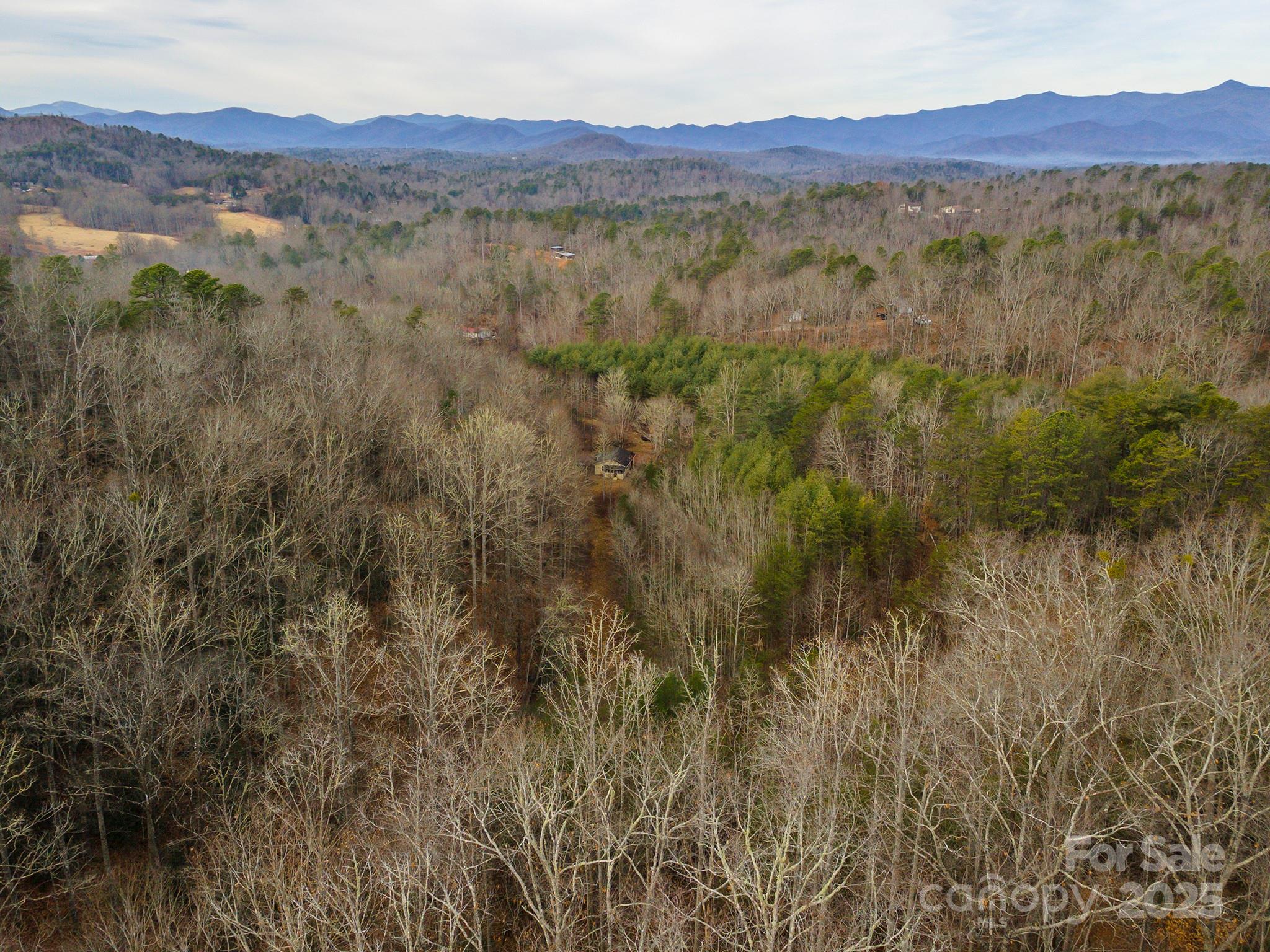 380 Buttercup Lane Marion NC 28752