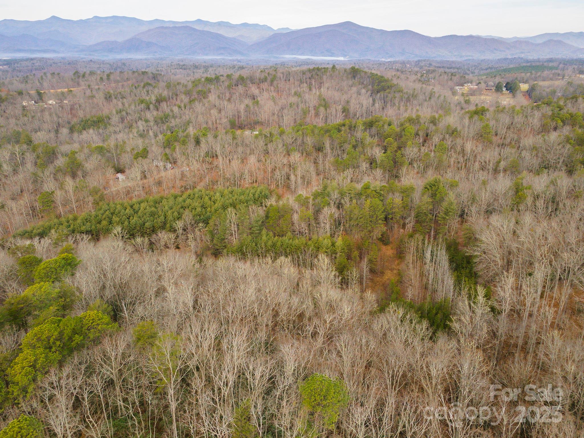 380 Buttercup Lane Marion NC 28752