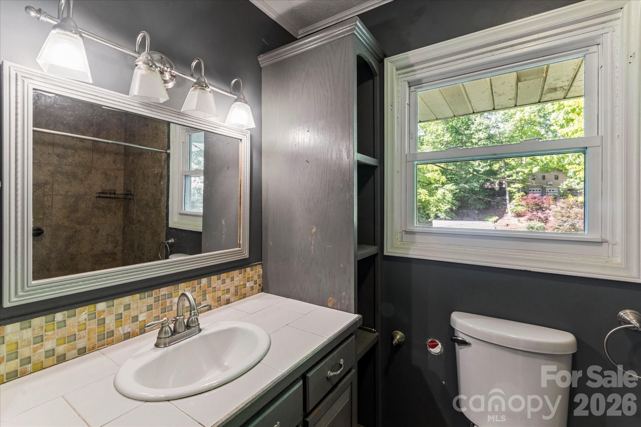 147 Barberry Heights Drive Brevard NC 28712