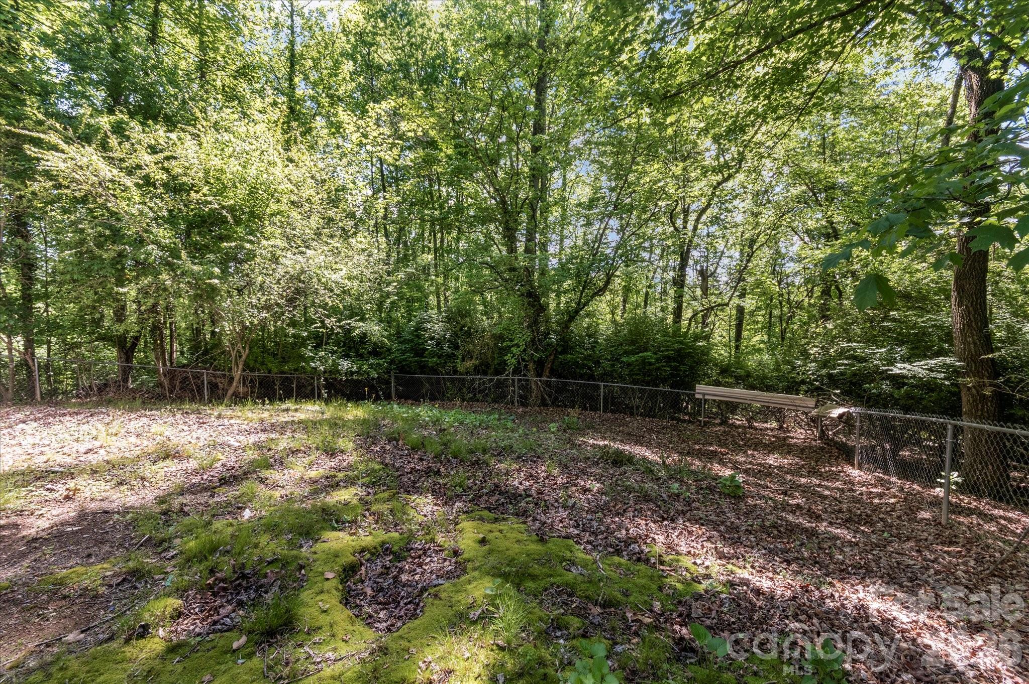 147 Barberry Heights Drive Brevard NC 28712