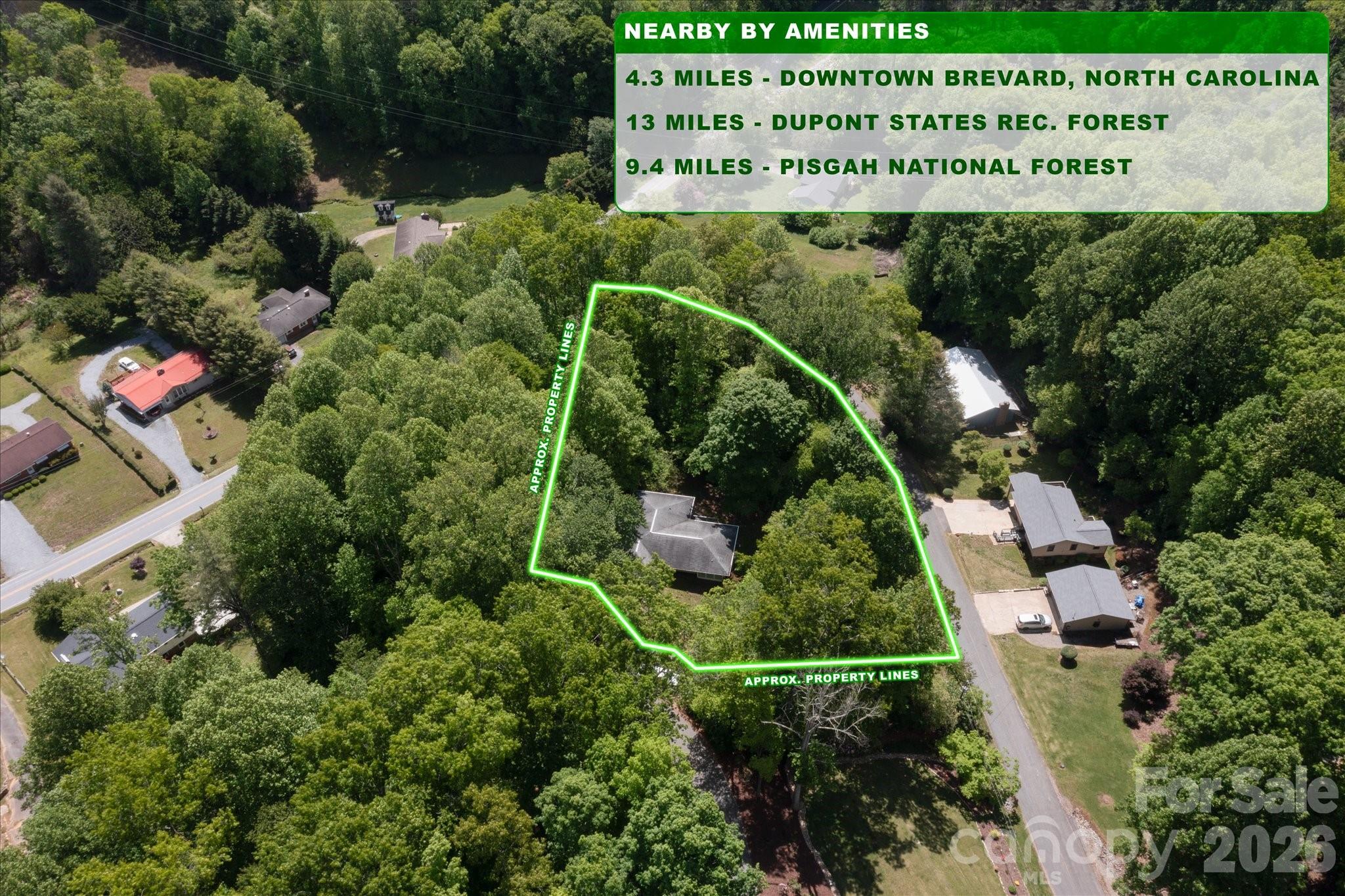 147 Barberry Heights Drive Brevard NC 28712