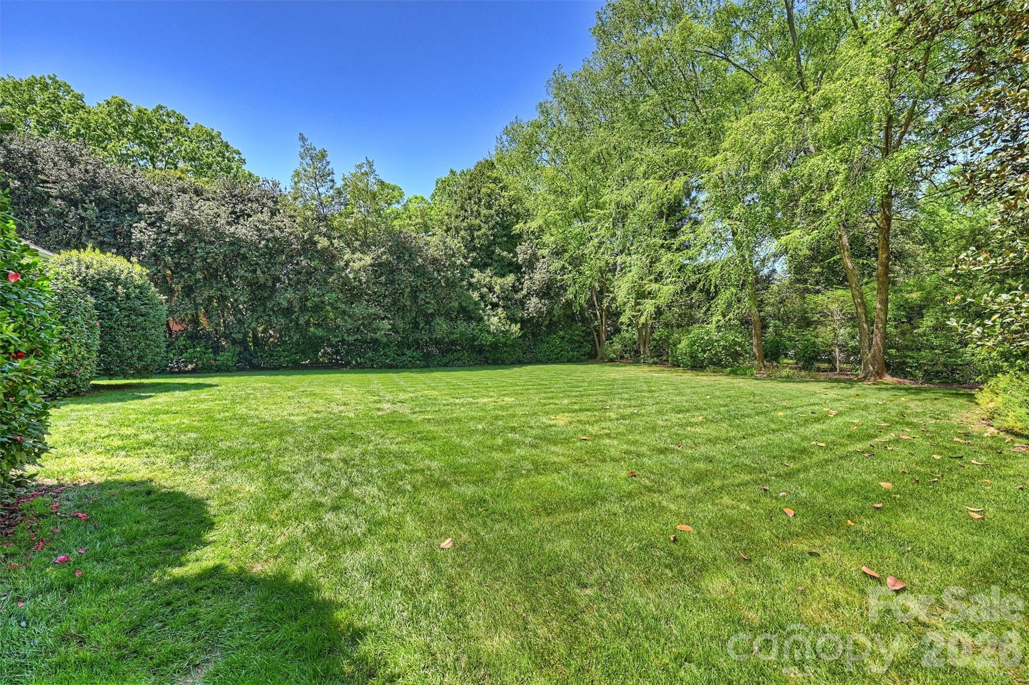 812 Ardsley Road Charlotte NC 28207