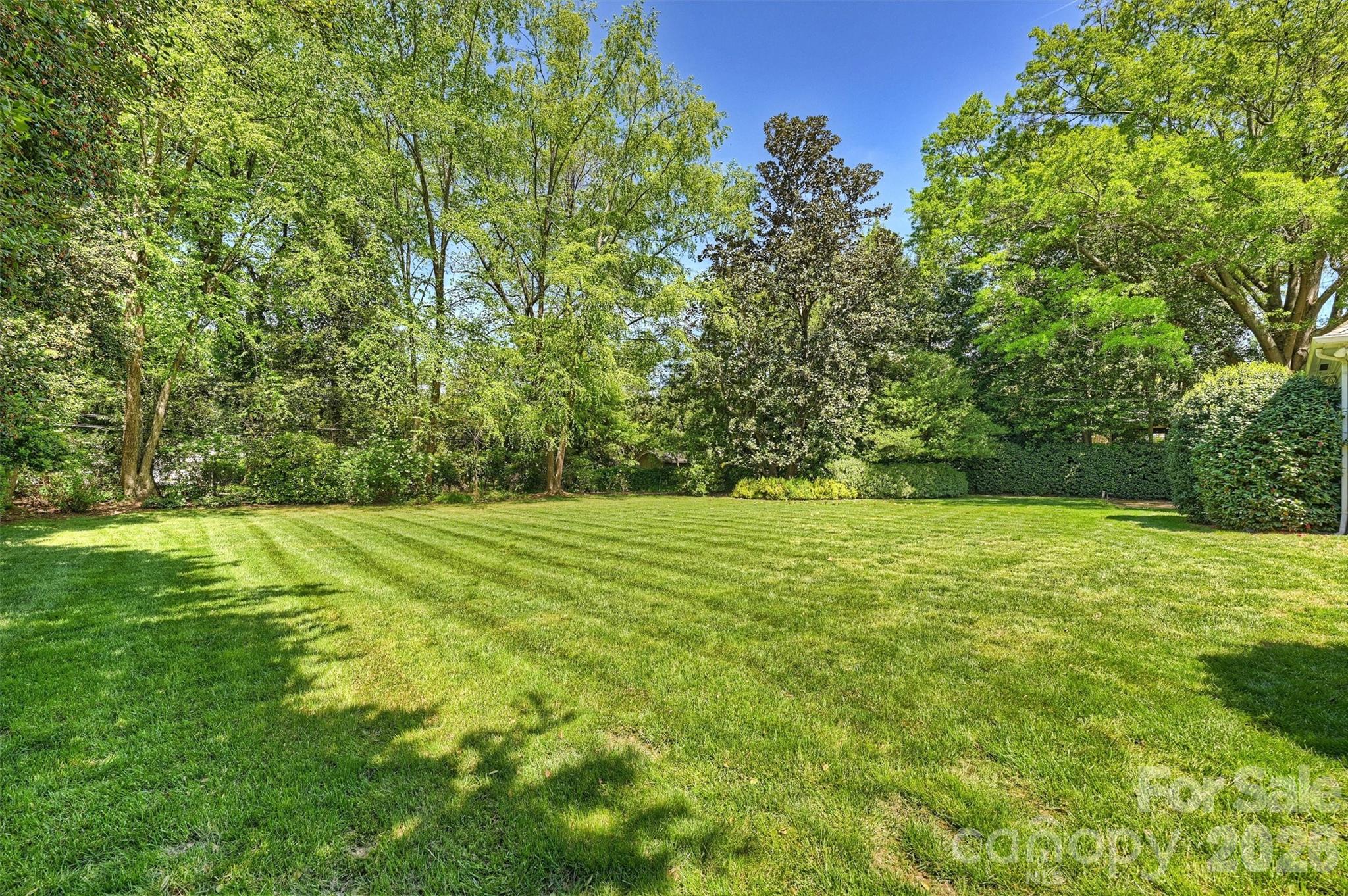 812 Ardsley Road Charlotte NC 28207