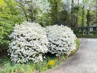 41 Balsam Shadows Drive Maggie Valley NC 28751