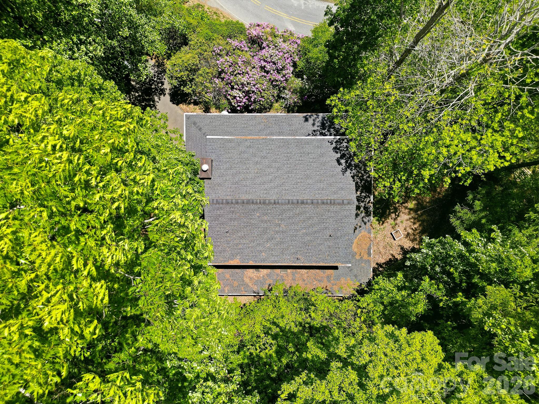 2131 Coleman Mountain Road Waynesville NC 28785