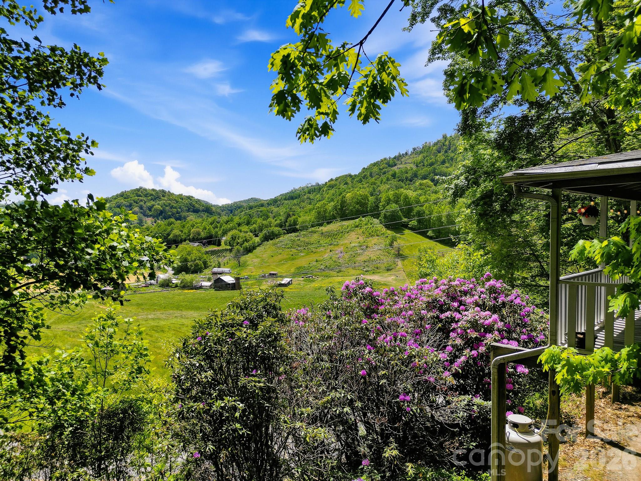 2131 Coleman Mountain Road Waynesville NC 28785