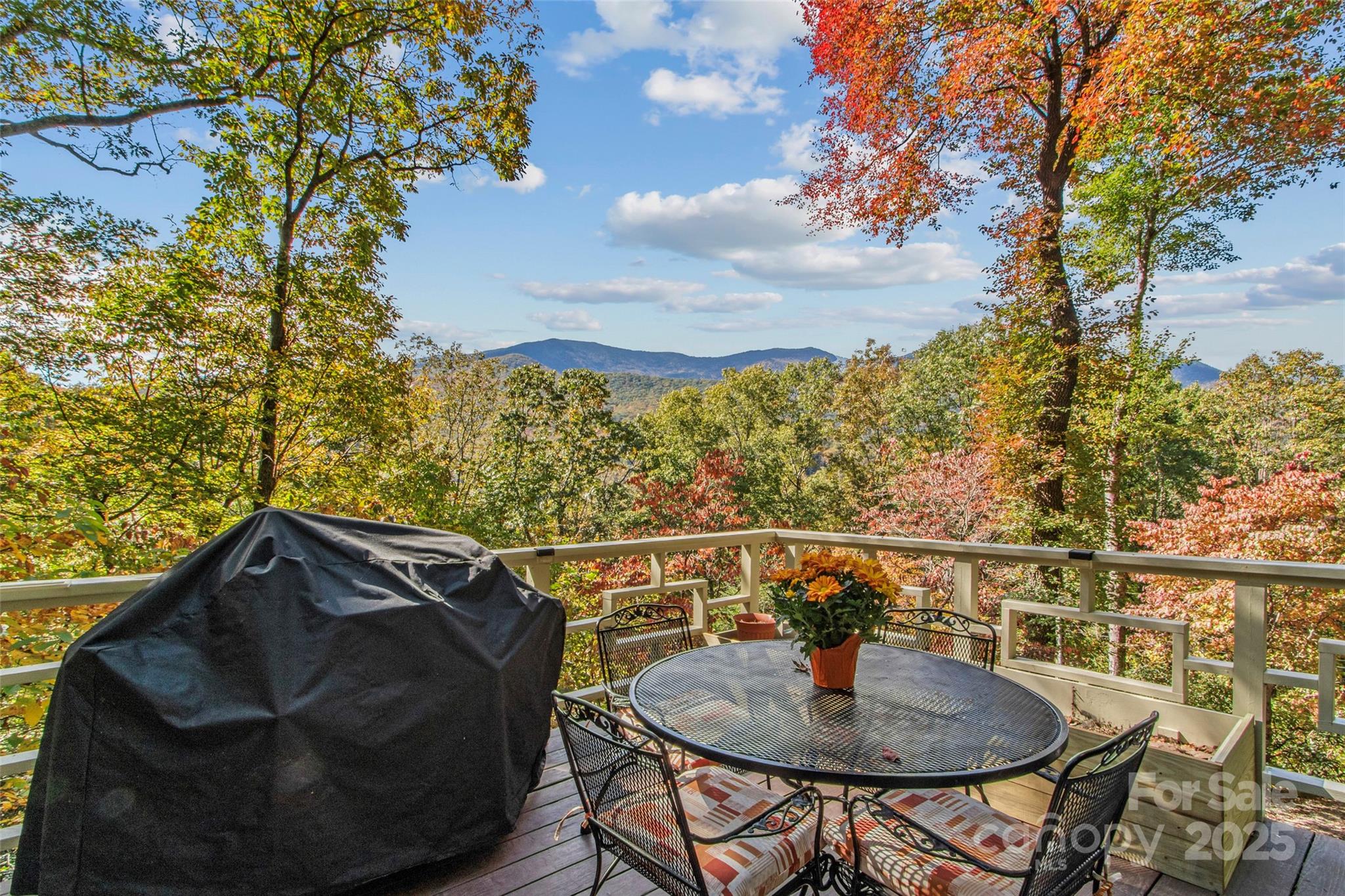 354 Big Ridge Road Burnsville NC 28714