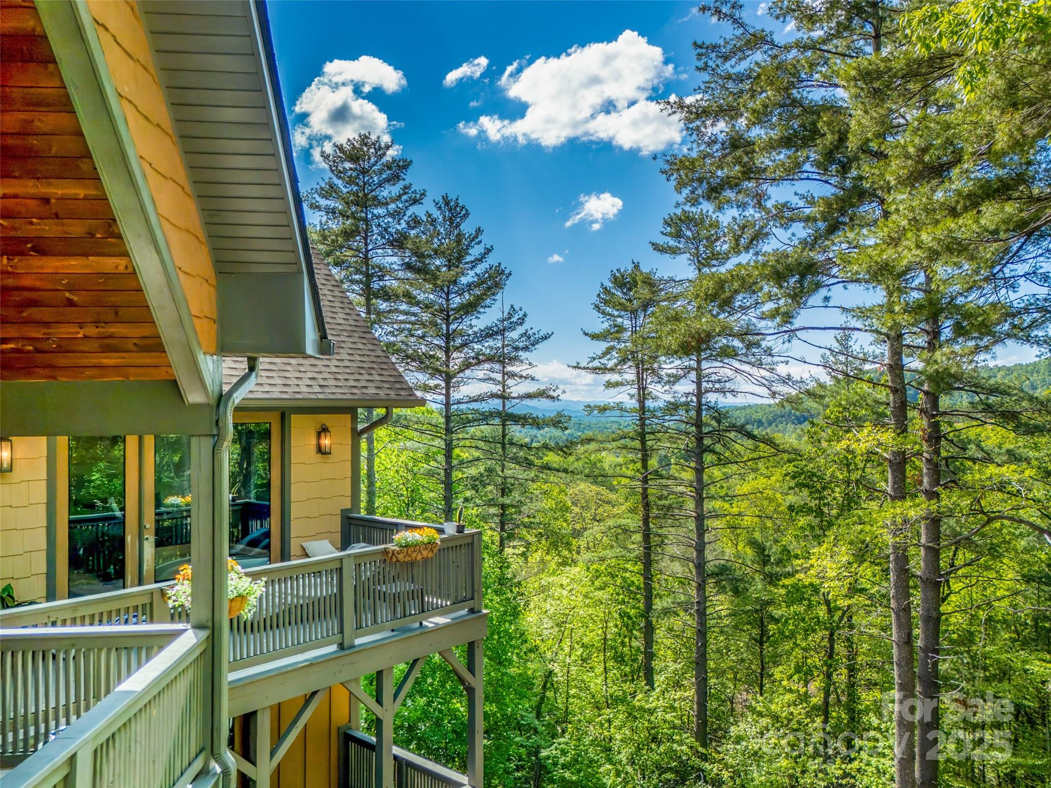 20 Angler Trail Asheville NC 28803