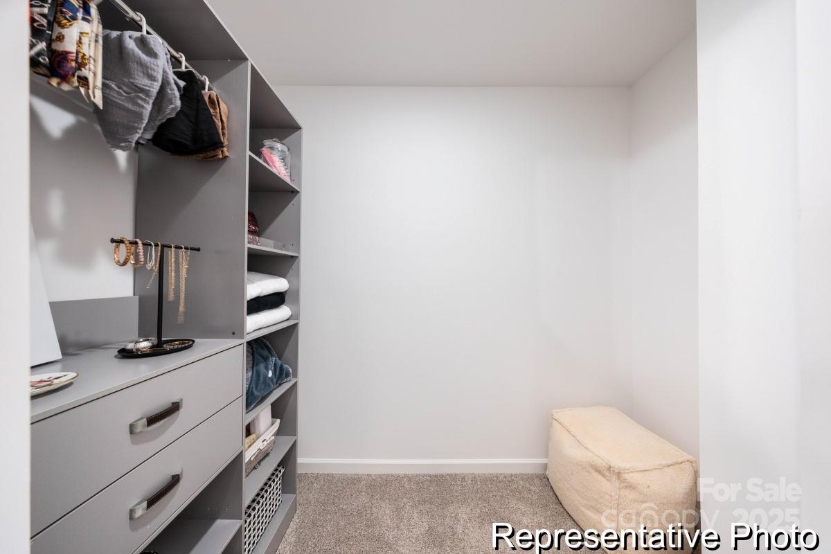 11735 Avocet Street Charlotte NC 28215