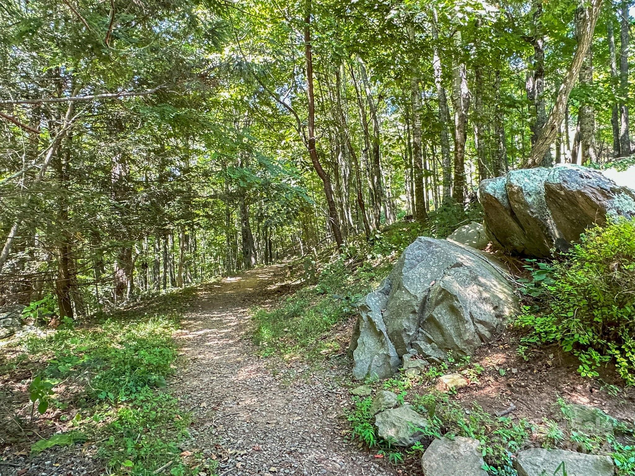 810 English Ridge Drive Mars Hill NC 28754