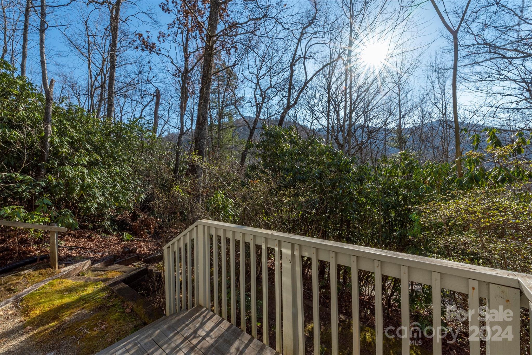 539 Suwannee Drive Montreat NC 28757