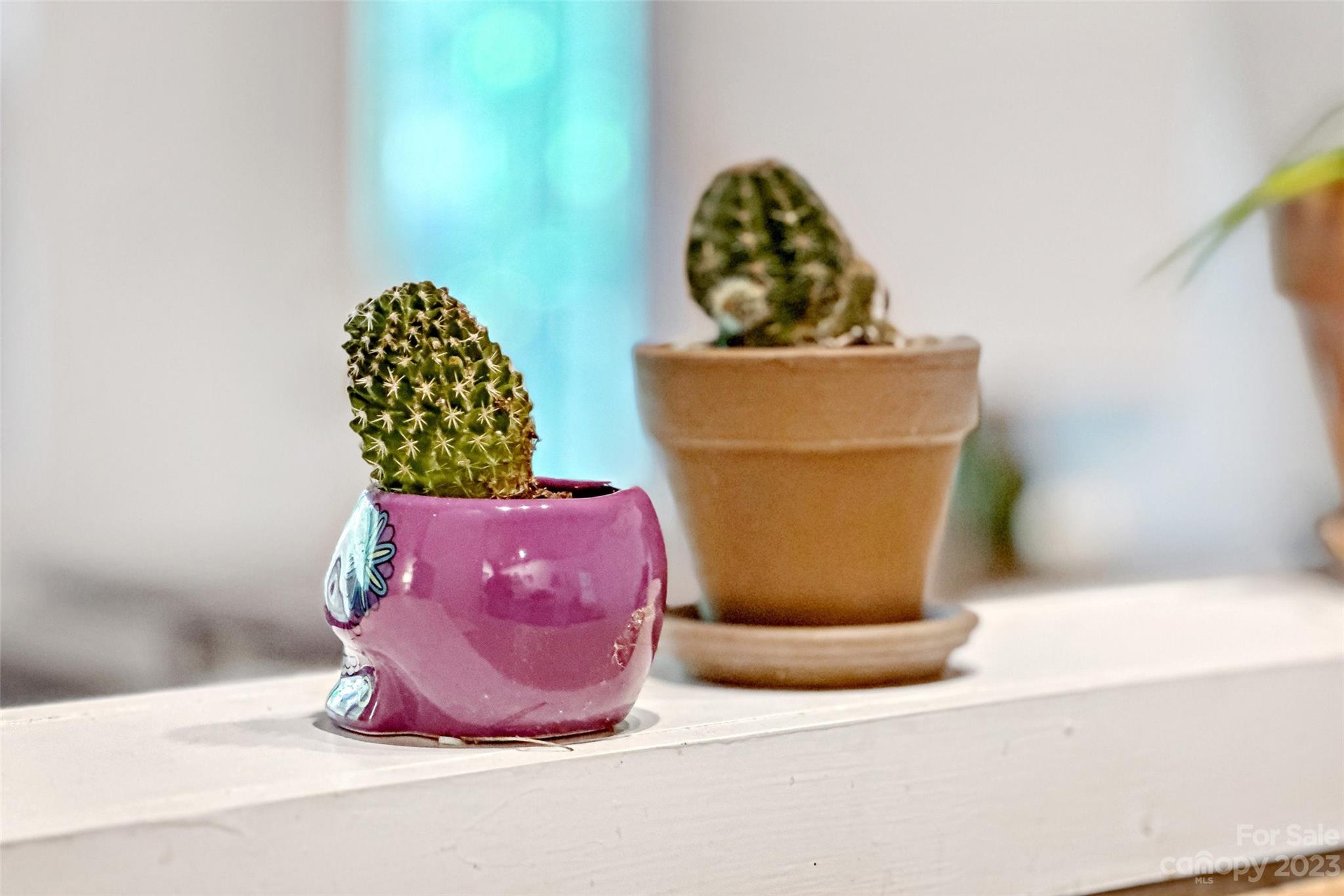 24 White Willow Ridge Black Mountain NC 28711