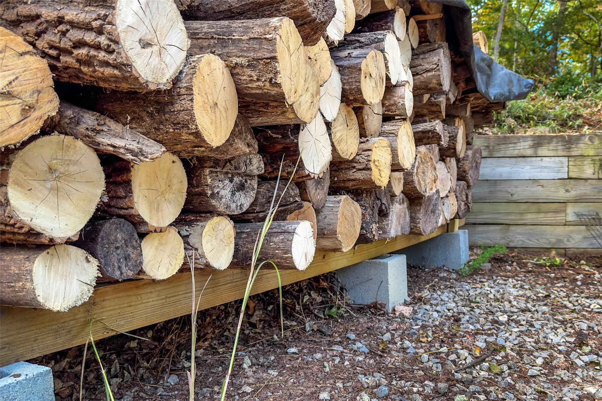 24 White Willow Ridge Black Mountain NC 28711