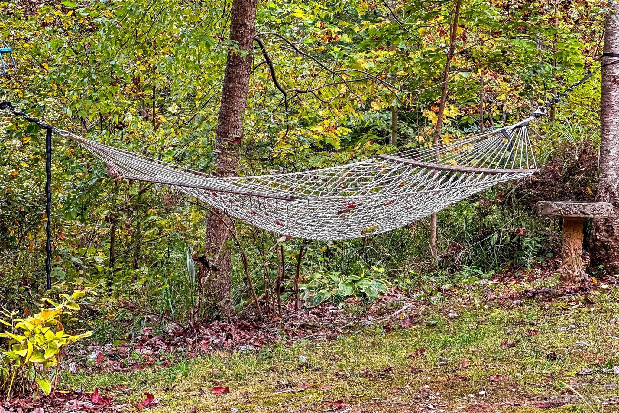 24 White Willow Ridge Black Mountain NC 28711