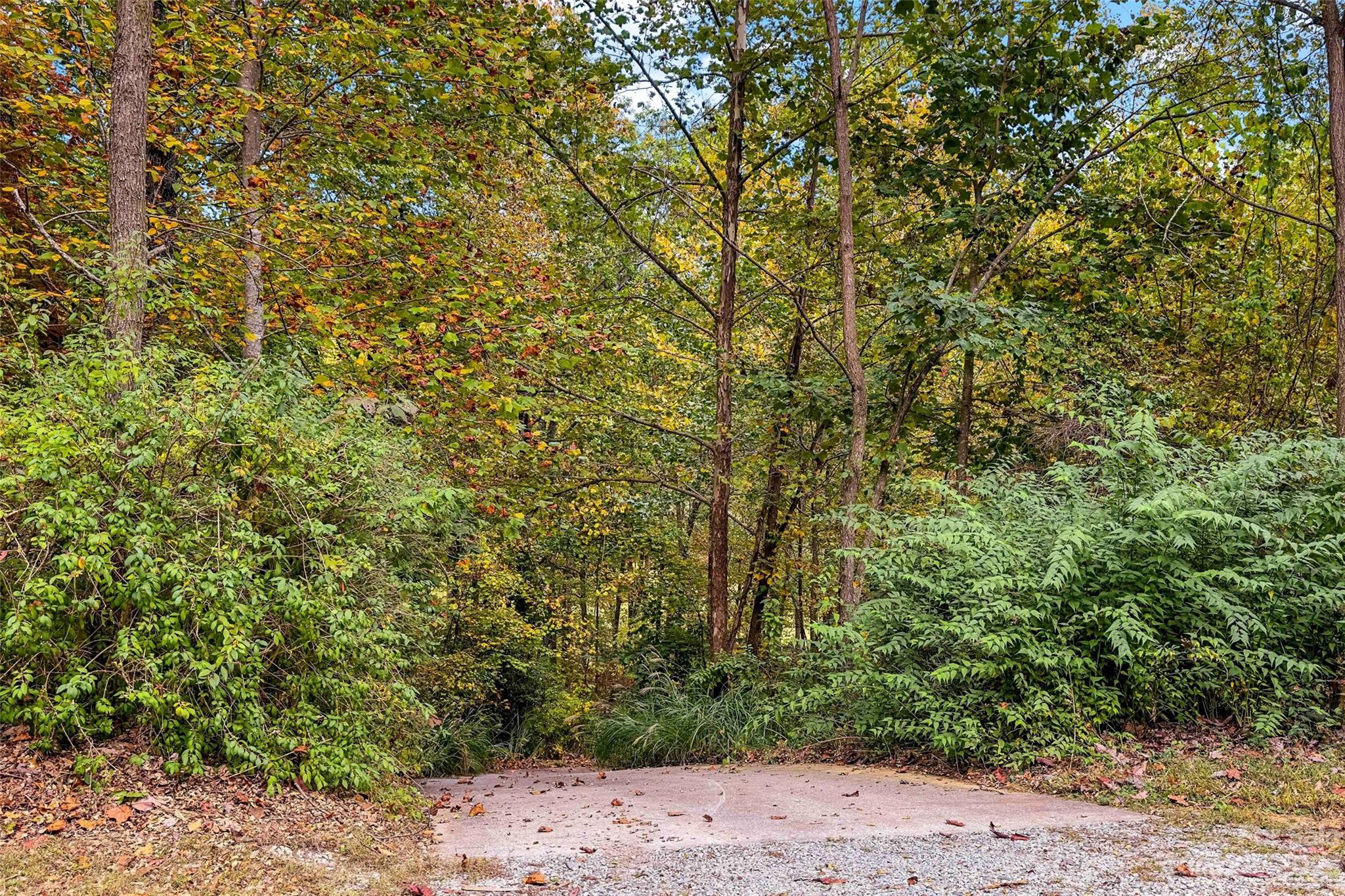 24 White Willow Ridge Black Mountain NC 28711