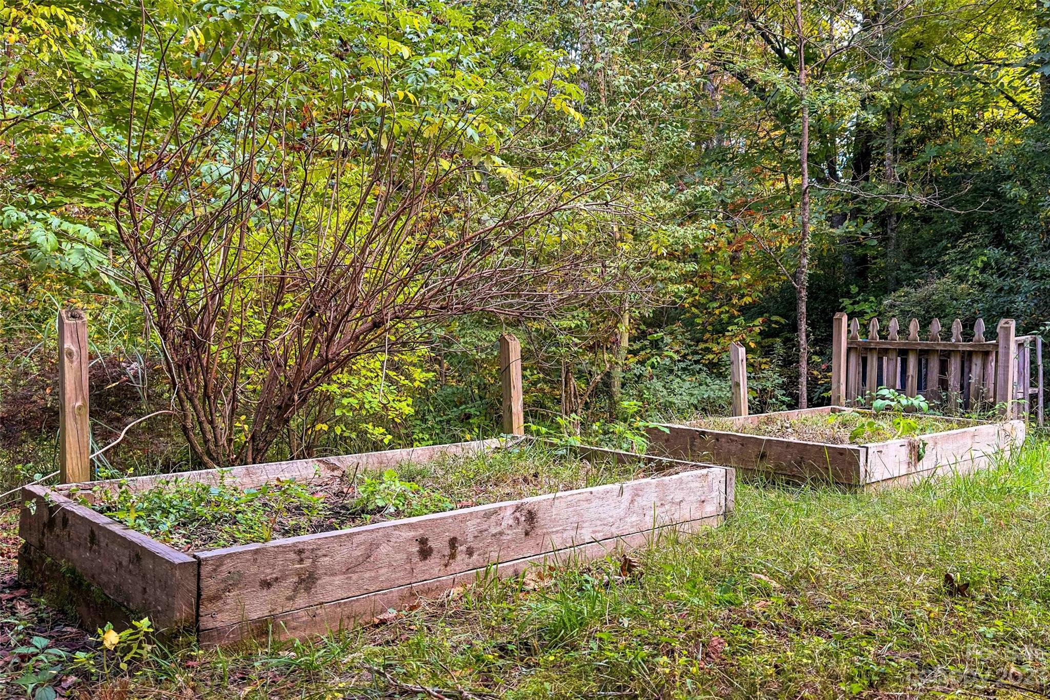 24 White Willow Ridge Black Mountain NC 28711