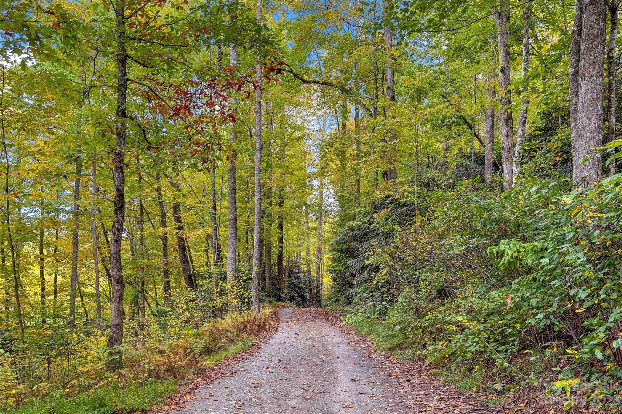 24 White Willow Ridge Black Mountain NC 28711