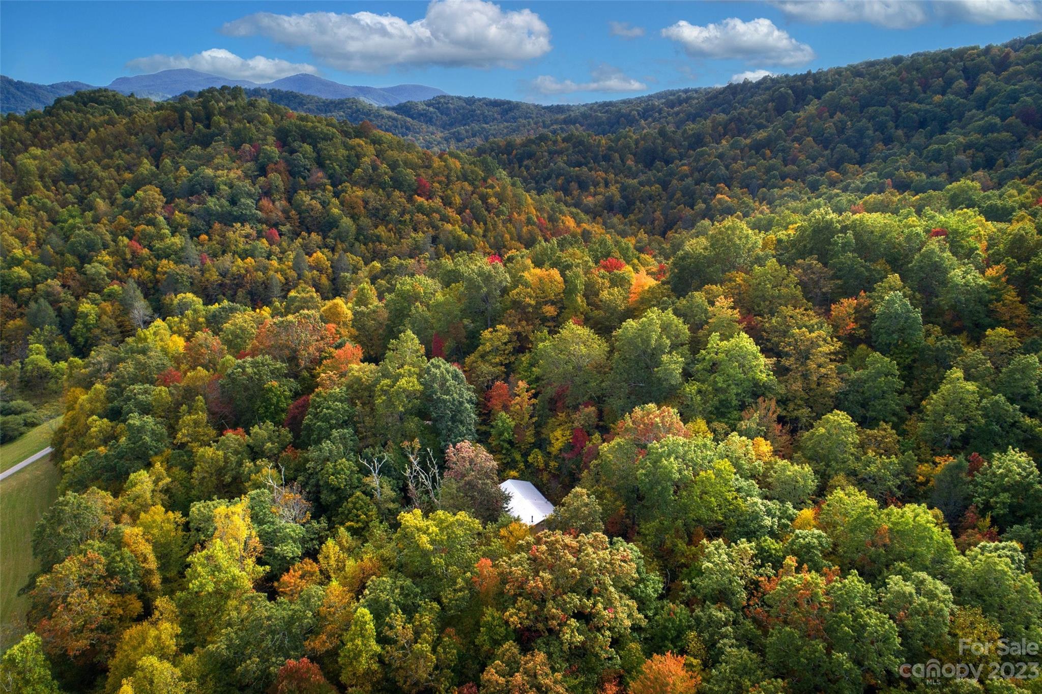 24 White Willow Ridge Black Mountain NC 28711