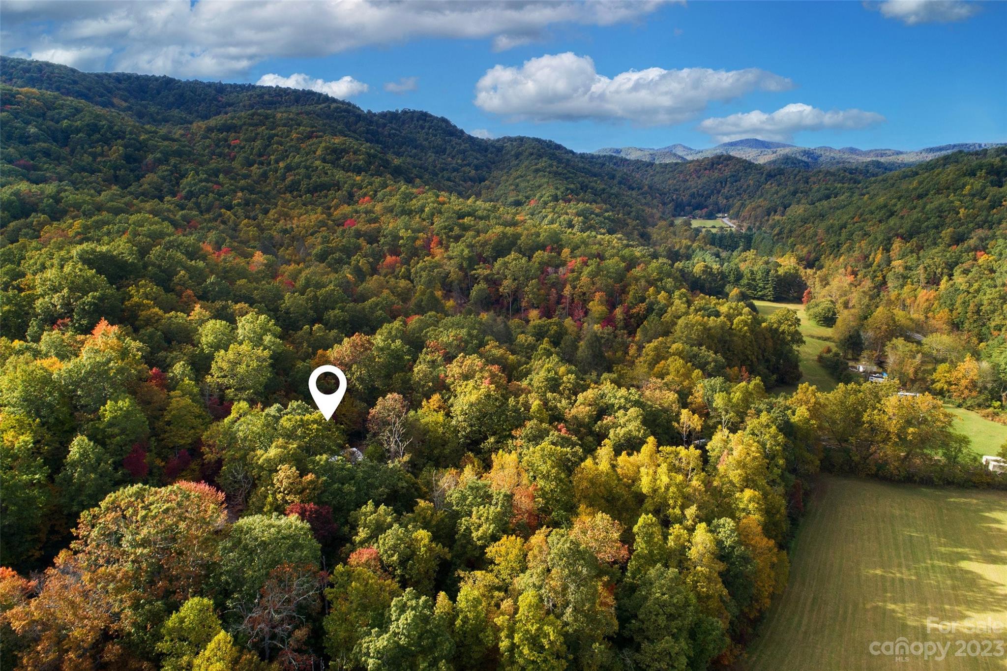 24 White Willow Ridge Black Mountain NC 28711