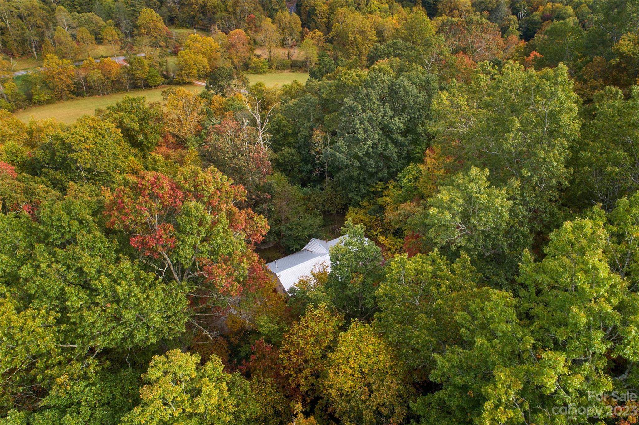 24 White Willow Ridge Black Mountain NC 28711