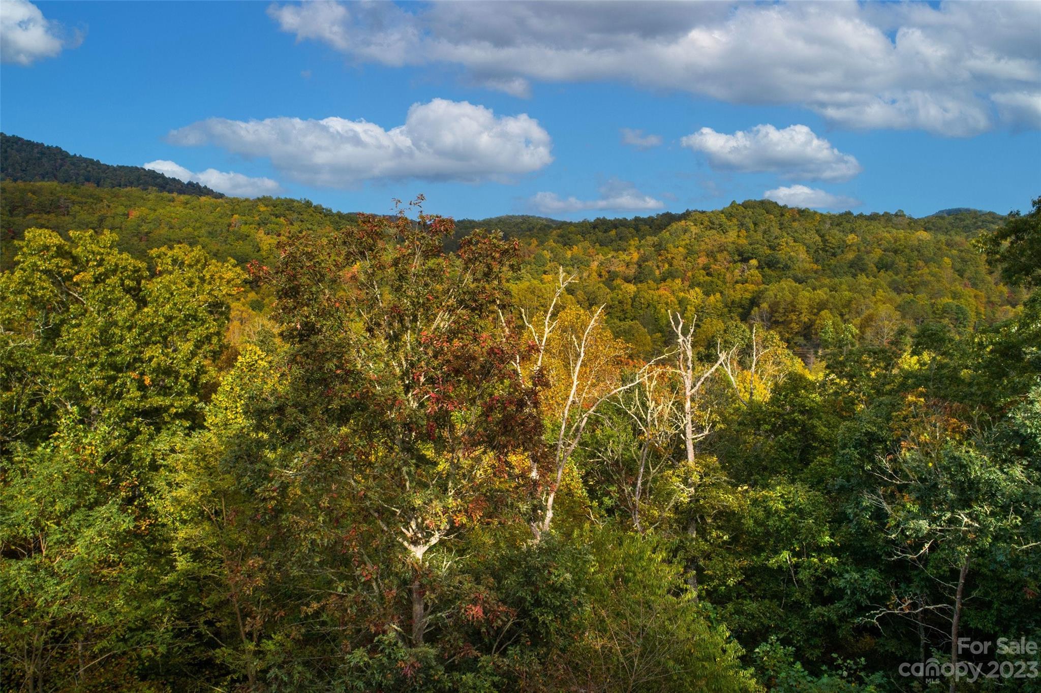 24 White Willow Ridge Black Mountain NC 28711